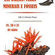 Exposição e Feira de Fósseis e Minerais