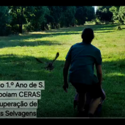 Turmas do 1.º Ano de S. Tiago Apoiam CERAS na Recuperação de Animais Selvagens
