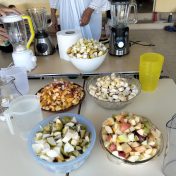 Semana da Alimentação Promove Hábitos Saudáveis na Escola do 1.º Ciclo de Mina