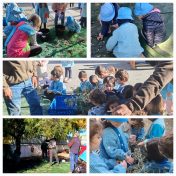 Dias diferentes no JI Violetas