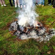 Magusto de S. Martinho encheu a escola de alegria e tradição
