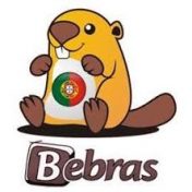 Agrupamento de Escolas Afonso de Paiva destaca-se no Desafio Bebras 2025