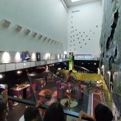 QUAKE E PAVILHÂO DO CONHECIMENTO