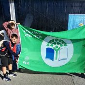 Dia da Bandeira Verde